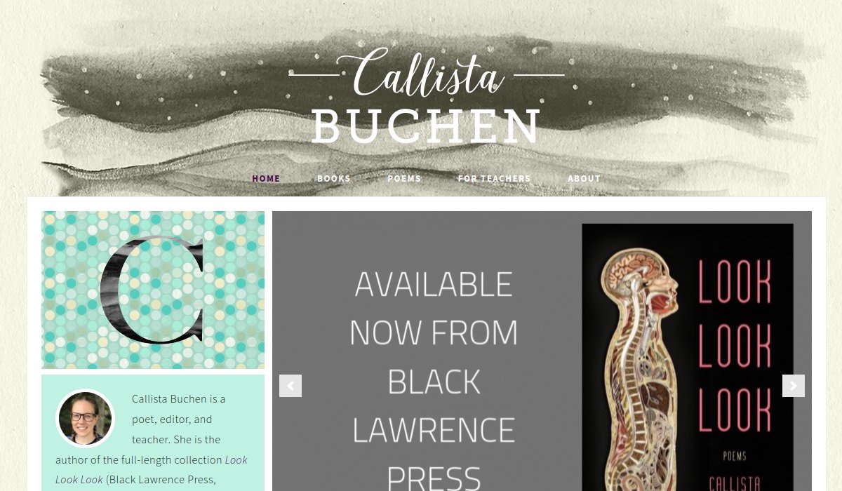 Preview of the Callista Buchen author website